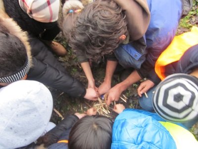 atelier nature